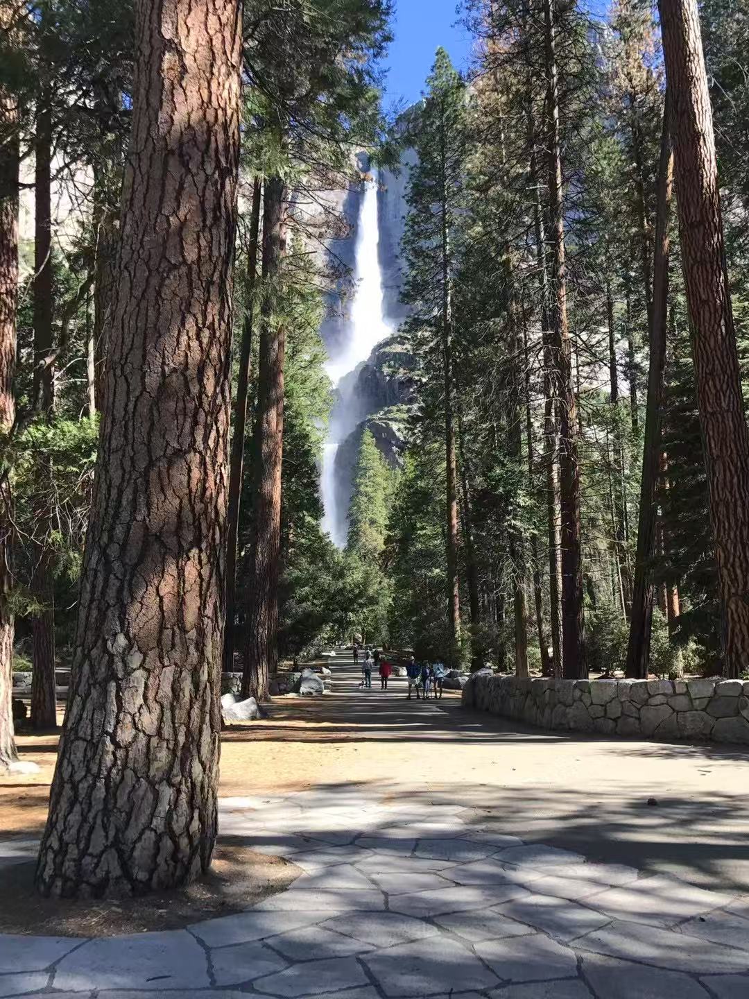 洛杉磯-旧金山-17哩湾(或优胜美地国家公园)六日精华游 S-3
